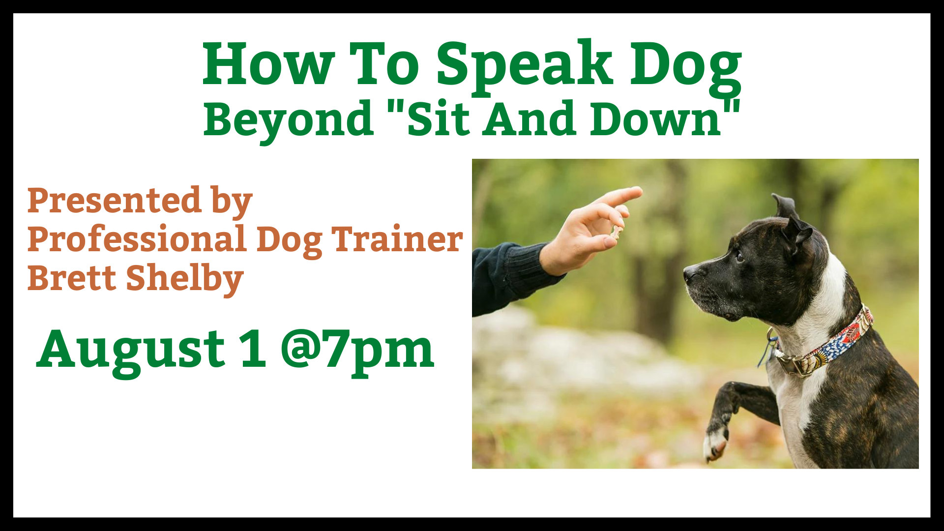 Dog training workshop by Brett Shelby