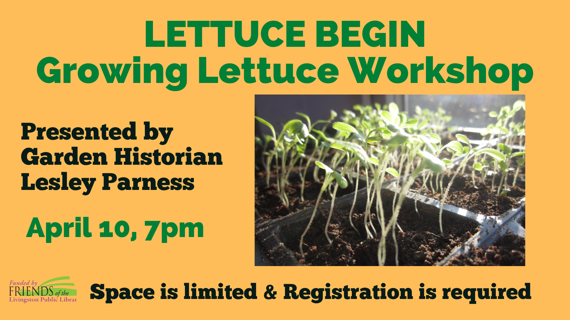 Lettuce Growing Workshop with Lesley Parness