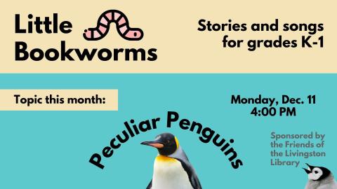 Image of worm next to Little Bookworms. Image of grown emperor penguin underneath Peculiar Penguins text. Image of penguin chick in corner.