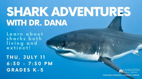 Photograph of Great White Shark. Shark Adventures with Dr. Dana. Learn about sharks both living and extinct! Thursday, July 11. 6:30 - 7:30 PM. Grades K-5.
