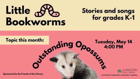 Little Bookworms: Stories and songs for grades K-1. Tuesday, May 14. 4:00 PM. Topic this month: Outstanding Opossums