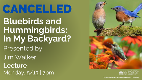 Cancelled : How to Attract Birds to your Backyard