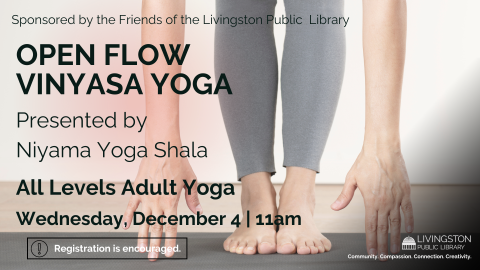 Adult yoga workshop