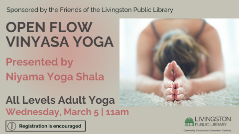 Adult yoga workshop