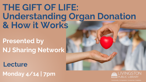 Understanding Organ Donation