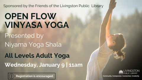 Yoga Session for adults