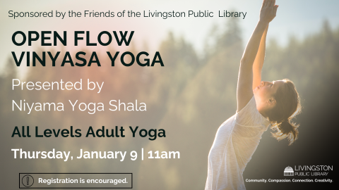 Adult yoga workshop