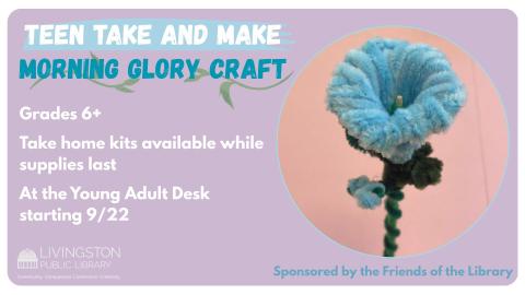 Purple background with image of the pipe cleaner flower craft