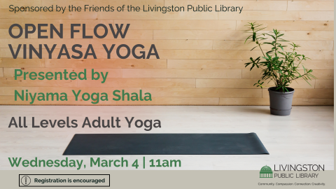 All Levels Adult Yoga Workshop