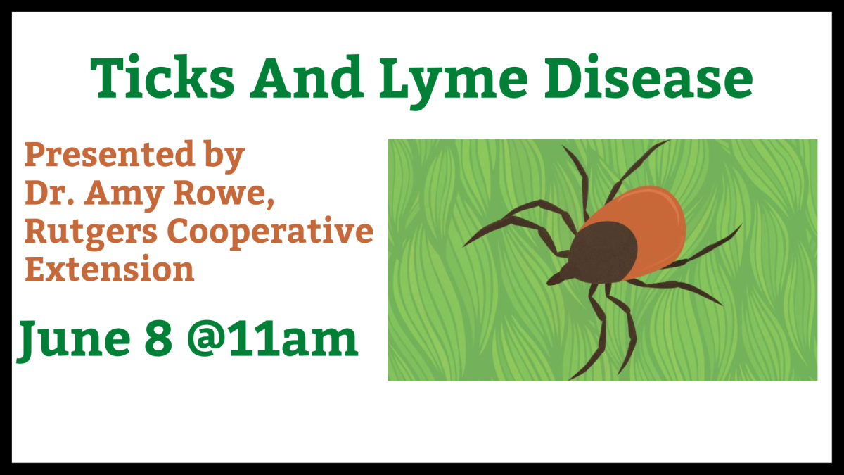 Ticks and Lyme disease by Dr. Amy Rowe